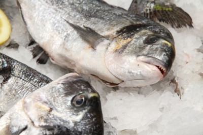 Kundenbindung und Service im Fischrestaurant