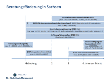 Beratungsförderung in Sachsen - Vortrag als Überblick