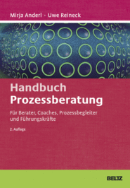 Handbuch zur Prozessberatung nicht nur für Berater in Leipzig