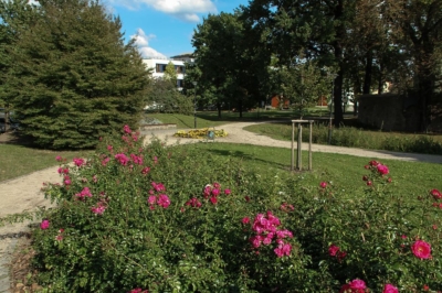 Spaziergang vor dem Workshop - Rathaus am Park in Coswig