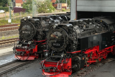 Brockenbahn - Bewegung ist gesund!