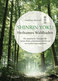 Den Wald schützen ist eine Sache - in den Wald baden gehen eine zweite - Heilsames Waldbaden nicht nur für gestresste Manager